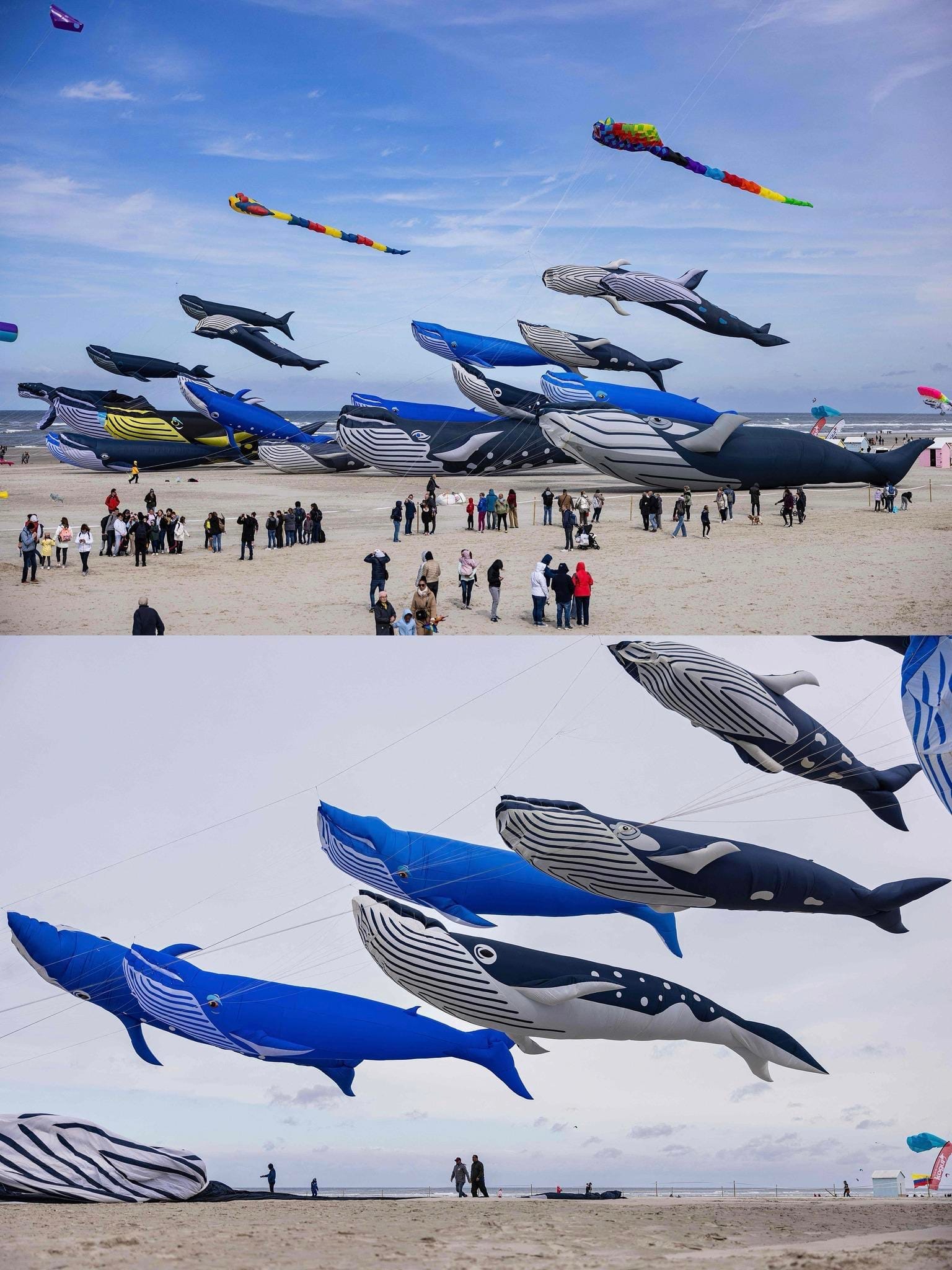 Weekend Reading — 🦩 Flamingo