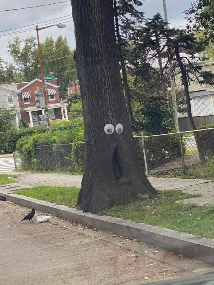 Weekend Reading — Swipe right