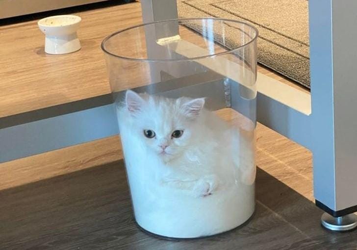 Weekend Reading — "big" is smaller than "small"